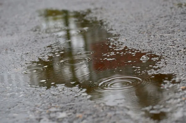 DF: chuvas leves dão trégua ao calorão neste sábado