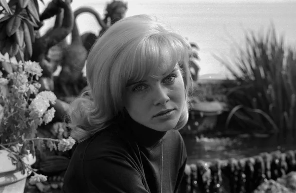 Sue Lyon, atriz de Lolita, morre aos 73 anos