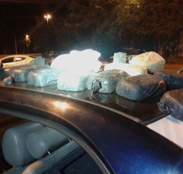 Com ajuda de cães farejadores, polícia apreende 68 mil doses de crack