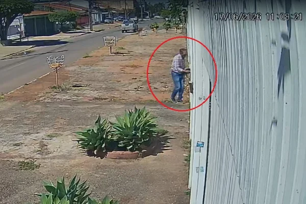 Homem joga filhote de cachorro em casa de desconhecido e é procurado