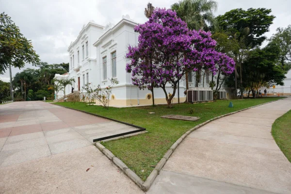 Instituto Butantan, em SP