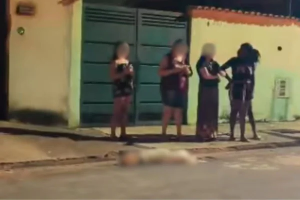 Homem mata próprio pitbull a facadas após cão escapar e atacar idoso - Metrópoles
