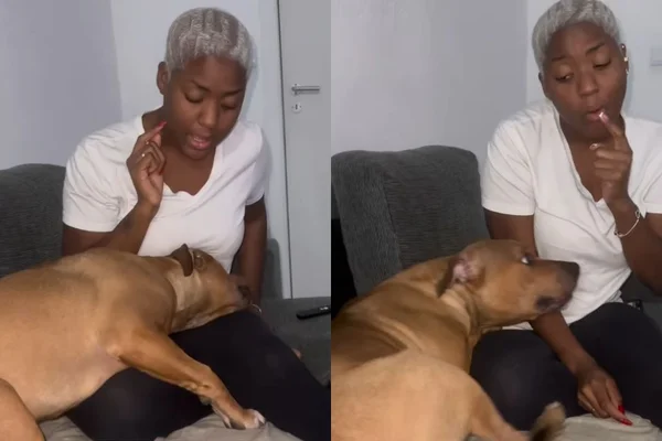 Foto colorida de um cachorro e uma mulher - Metrópoles