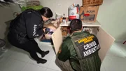 Ex-secretária de Bem-Estar Animal é presa por “eutanásia via Pix” - imagem 5 Ex-secretária de Bem-Estar Animal é presa por “eutanásia via Pix” - imagem 5
