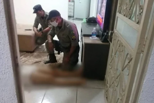 Mulher agredida a marteladas em Goiânia