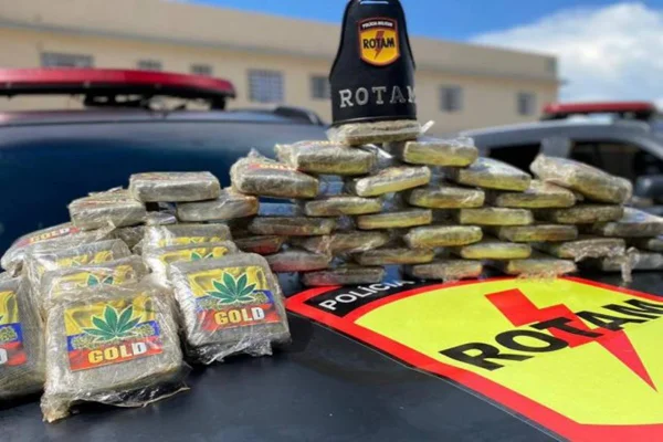 Polícia apreende supermaconha no DF avaliada em mais de R$ 500 mil