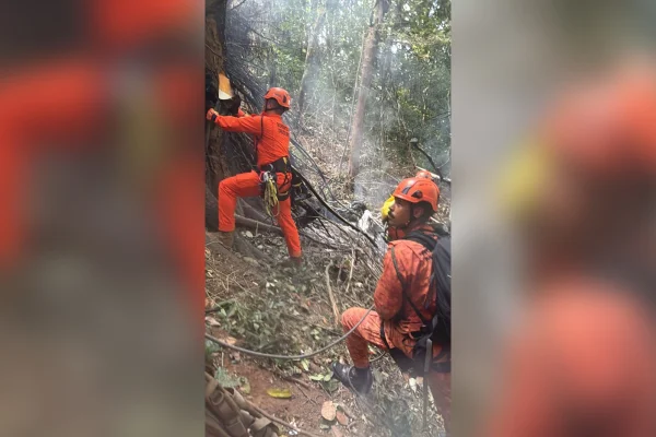 Helicóptero cai em área de mata no Rio - Metrópoles
