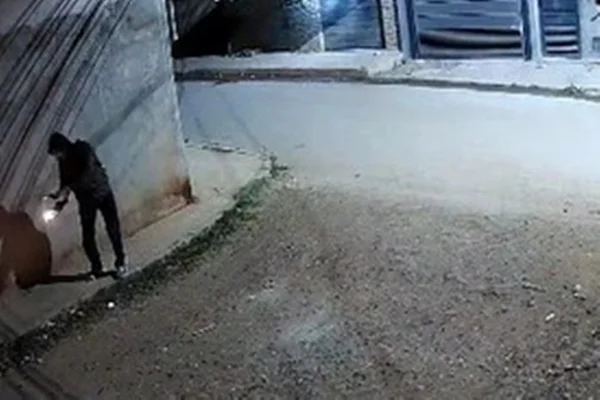 Vídeo mostra homem atirando coquetel molotov na casa de ex-funcionário