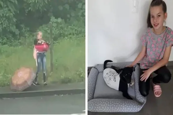 Vídeo: menina enfrenta chuva para salvar cachorrinha ferida