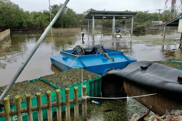 com 2 bombas instaladas rio grande do sul - metrópoles