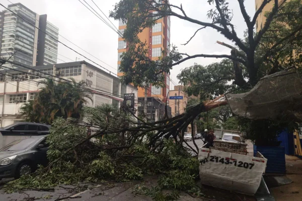 Imagem colorida mostra árvore caída em Pinheiros após fortes chuvas em São Paulo - Metrópoles