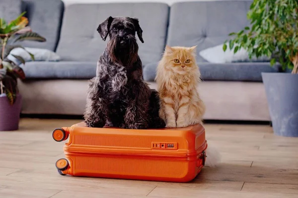 Pets em cima de uma mala de viagem