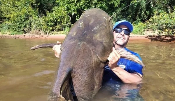 Pescadores pegam peixe de 1,60 metro e cerca de 80 kg no Rio Paraná