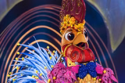 Galo do The Masked Singer Brasil