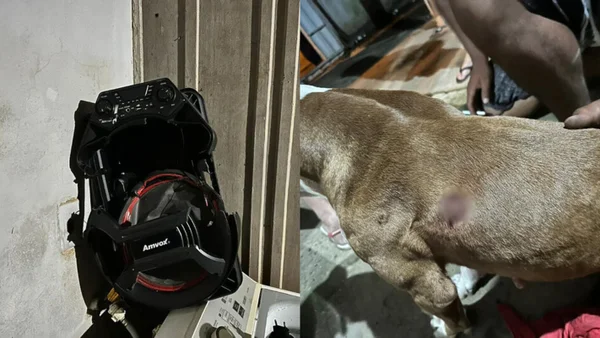 Montagem com foto colorida do aparelho de som pivô da briga e do cachorro baleado - Metrópoles