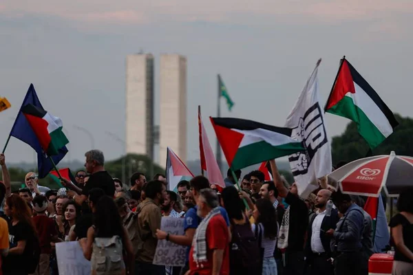 manifestação a favor do povo palestino em frente ao museu da república no DF