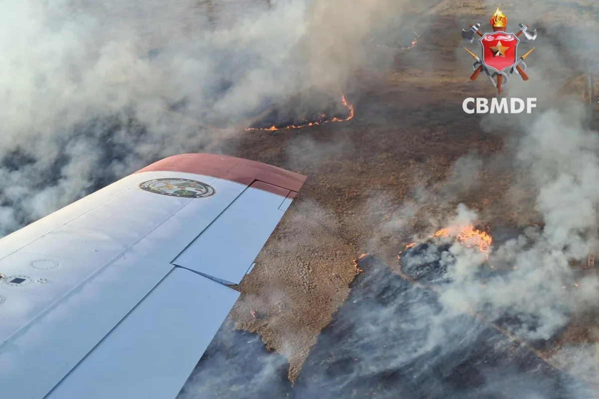 Incêndios no DF: Fogo Consome Vegetação e Preocupa Autoridades