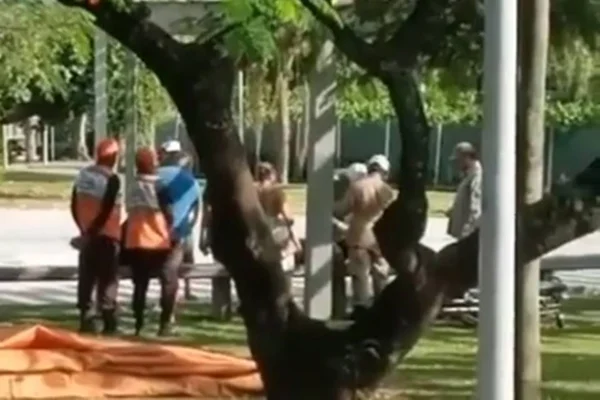 mulher é atacada por capivara na lagoa rodrigo de freitas, no rio de janeiro