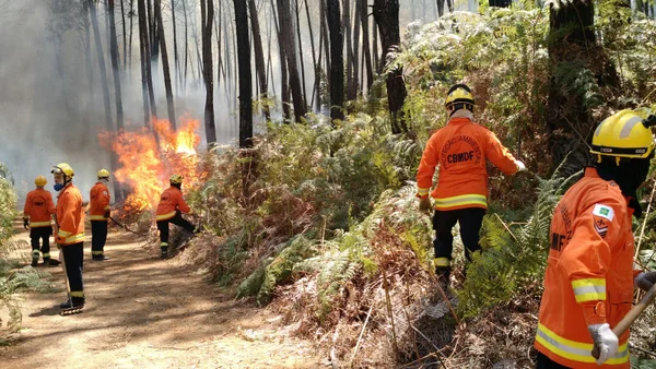 Estado de emergência. Para o governo, a seca já começou no DF
