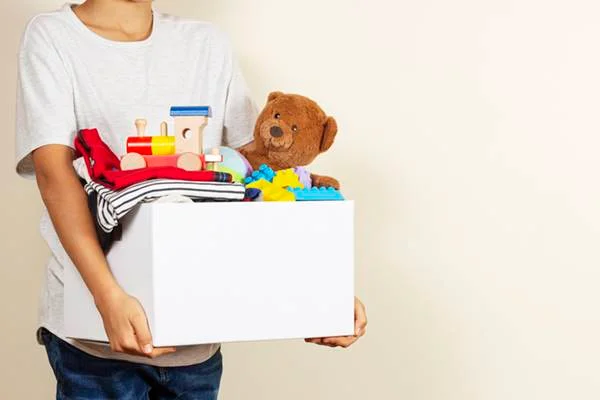 Organizadores de brinquedos: como escolher o modelo ideal?