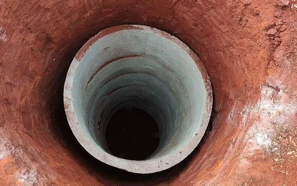 goias buraco onde cadela caiu