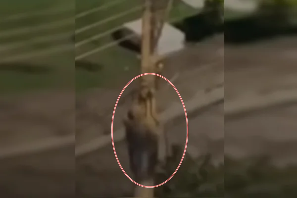 Imagem colorida de homem tentando furtar cabos