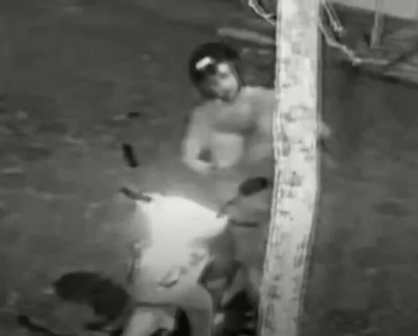 Imagem em preto e branco mostra GCM dando tiro na cabeça de cachorro