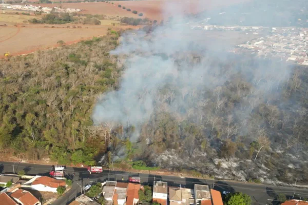 Vídeo: incêndio atinge área de preservação no interior de São Paulo