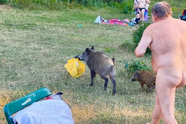 Homem nu corre atrás de Javali