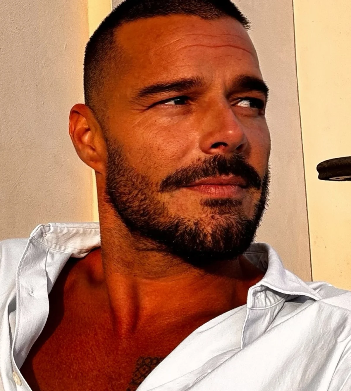 Ricky Martin faz pose para o Instagram Ricky Martin faz pose para o Instagram