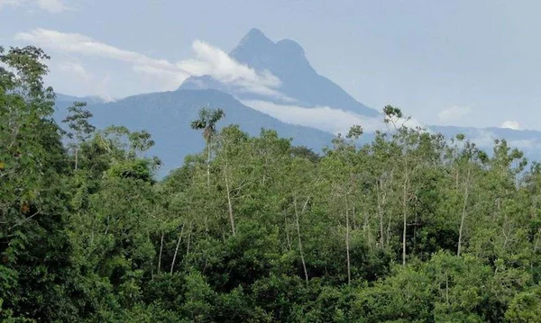 Entidades Yanomami denunciam entrada de garimpeiros no Pico da Neblina