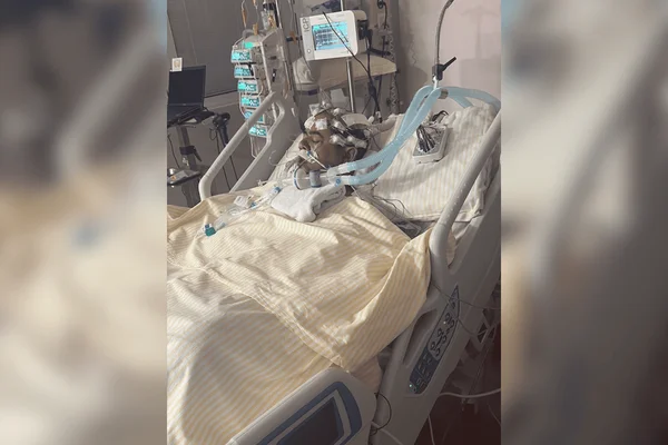 Imagem colorida de torcedor ferido por placa metálica no MorumBIS - Metrópoles