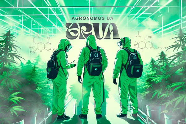 Agrônomos da erva faturavam R$ 2 mi mensais vendendo sementes da noia