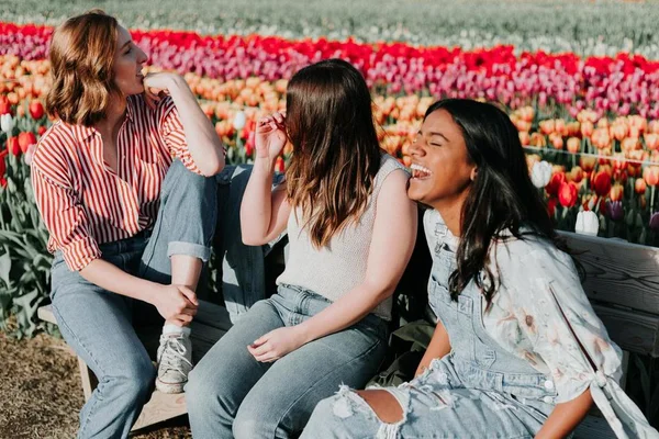 Amigas conversando, relacionamento