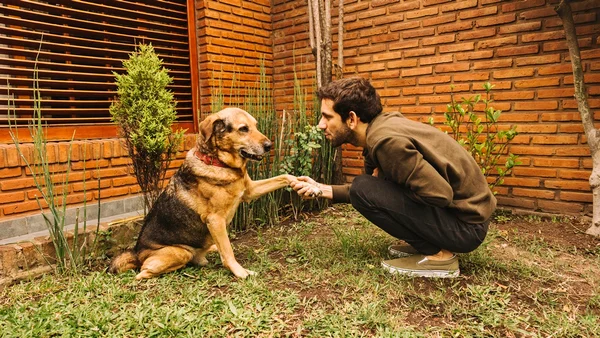 Foto colorida de homem cumprimentando cão