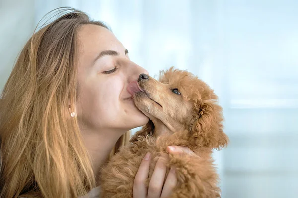 Mulher segurando cachorro pets