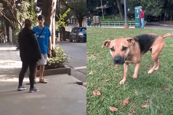 Colagem colorida de um homem branco à direita e um cachorro caramelo à esquerda - Metrópoles