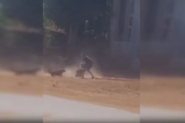 Vídeo: ex-detento que espancou primo de 7 anos agride pai da vítima