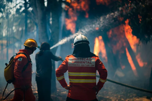 Imagem de bombeiros fardados e usando mangueiras para combater um incêndio na Floresta Nacional de Brasília