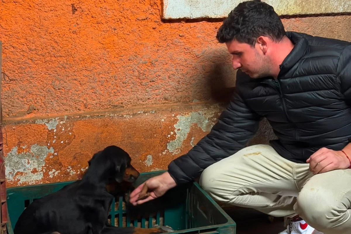 Os animais encontrados brigavam de fome e comiam uns aos outros Os animais encontrados brigavam de fome e comiam uns aos outros