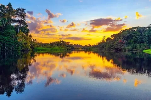 Floresta Amazônica