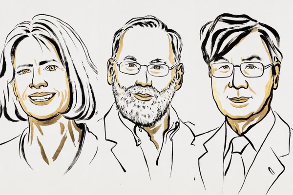 Ganhadores do Nobel 2025 tolerância imunológica