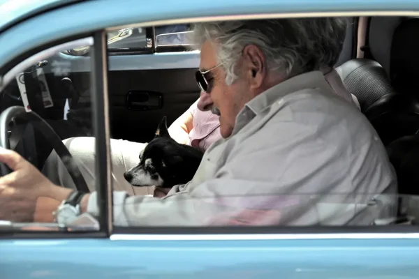 Imagem colorida de Mujica e Manuela -Metrópoles