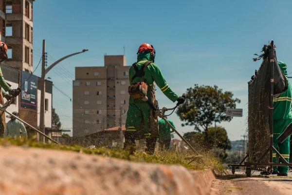 imagem colorida serviços roçagem anapolis