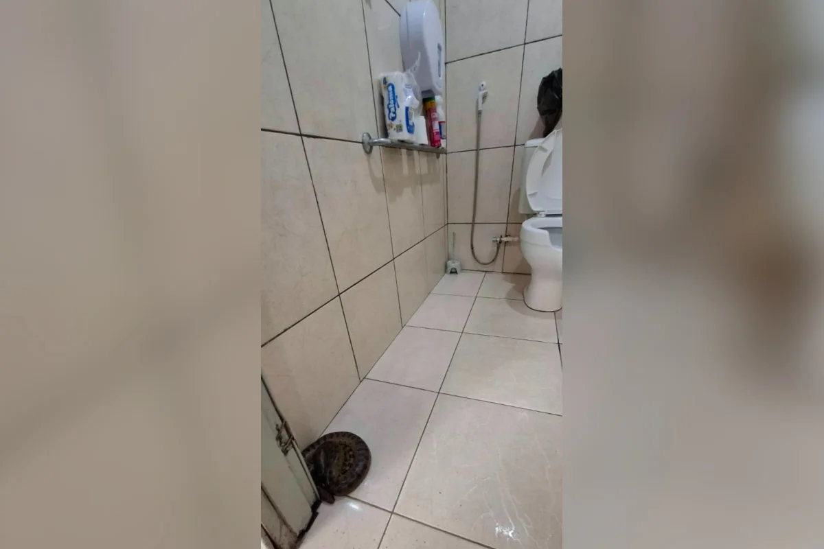 Imagem da Notícia