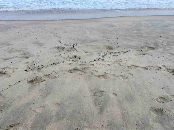 Manchas de óleo atingem 10 praias do Ceará; Marinha e Ibama investigam