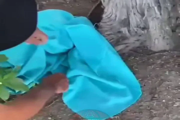 Imagem colorida de bebê encontrado - Metrópoles