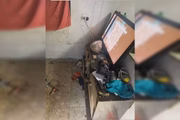 Outra imagem do imóvel que mostra a casa bagunçada