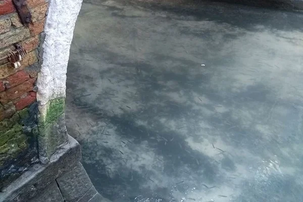 Veneza mais cristalina coronavírus