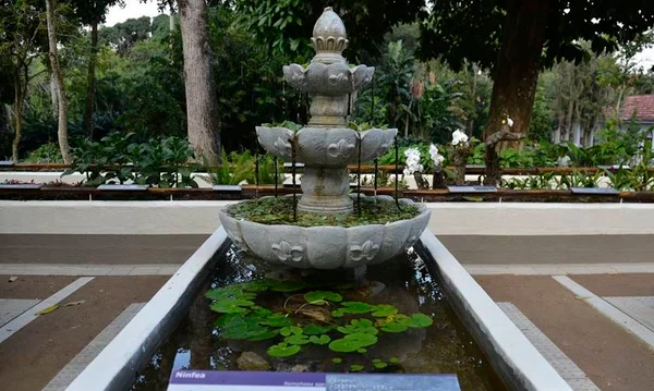 Salles quer transformar museu do Jardim Botânico do Rio em hotel de luxo